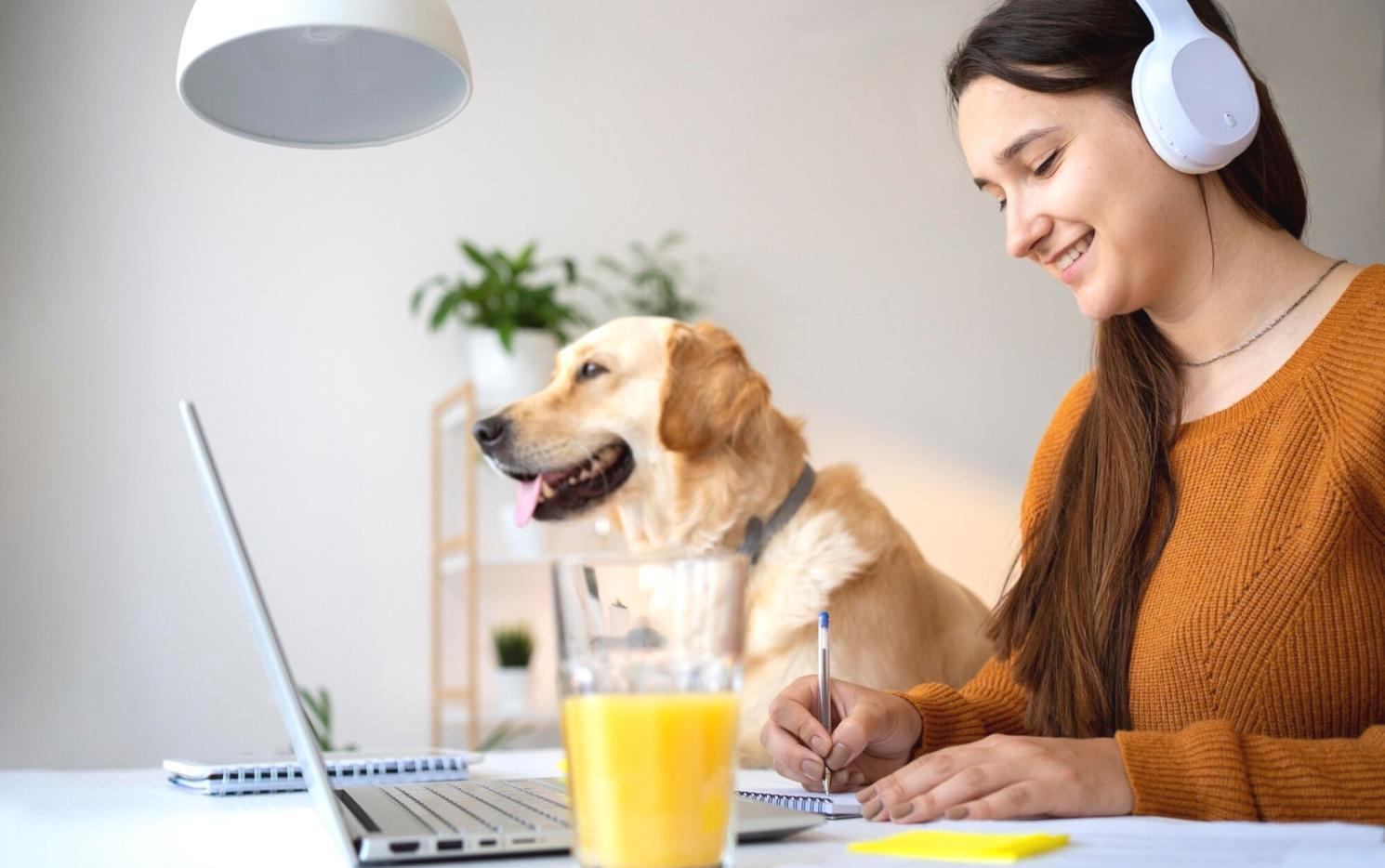 Gemeinsames Arbeiten an Finanzstrategien im Workshop